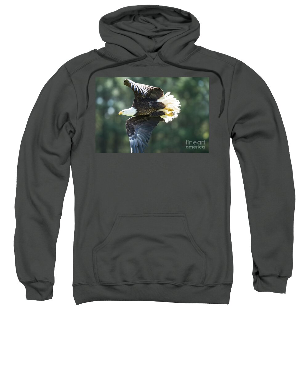 Bald Eagle Sweatshirt featuring the photograph Eagle Flying 3005 by Steve Somerville