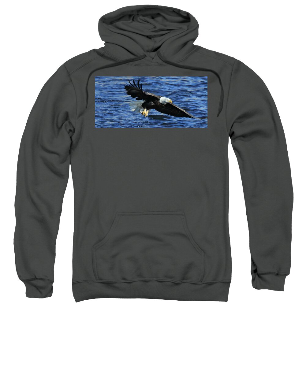 Eagle Sweatshirt featuring the photograph Eagle with Fish 3/4 by Coby Cooper