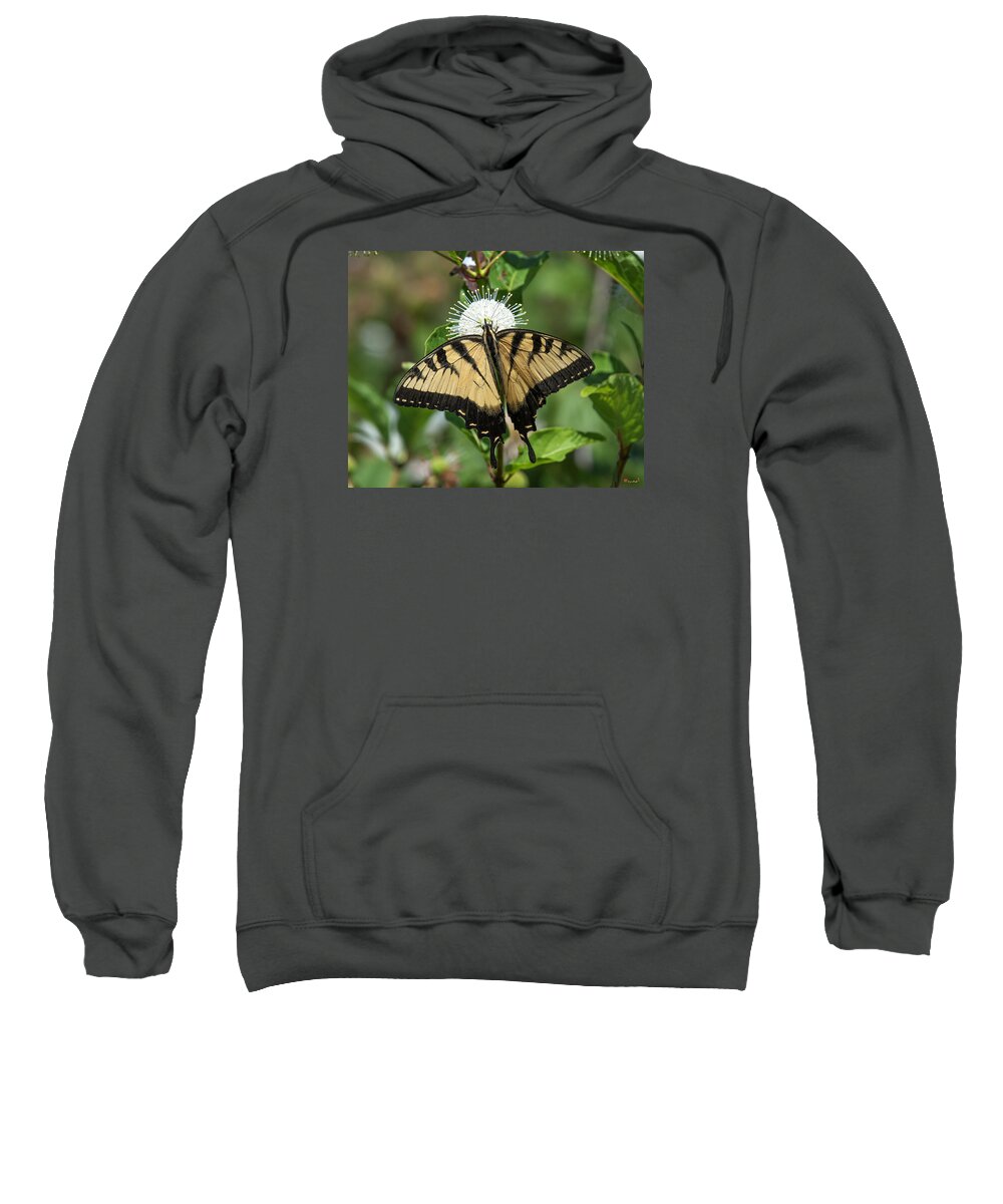 Marsh Sweatshirt featuring the photograph Eastern Tiger Swallowtail DIN0254 by Gerry Gantt