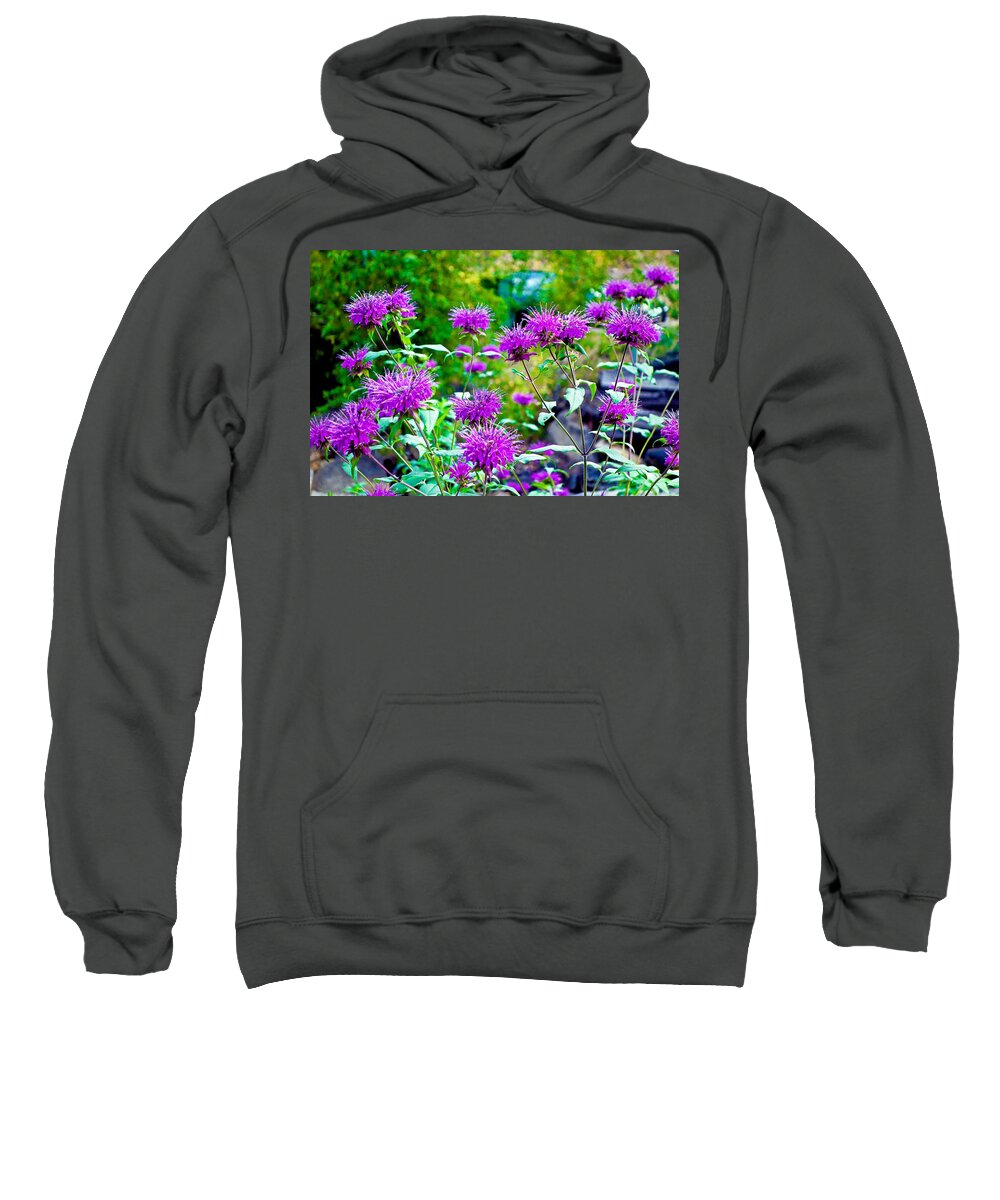 Tall Grasses Sweatshirt featuring the photograph Estes Park Fall Study 2 by Robert Meyers-Lussier