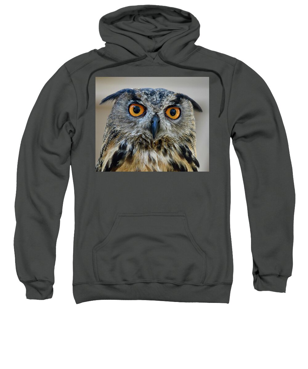 Eagle Owl Sweatshirt featuring the photograph Eurasian Eagle Owl by Richard Bryce and Family