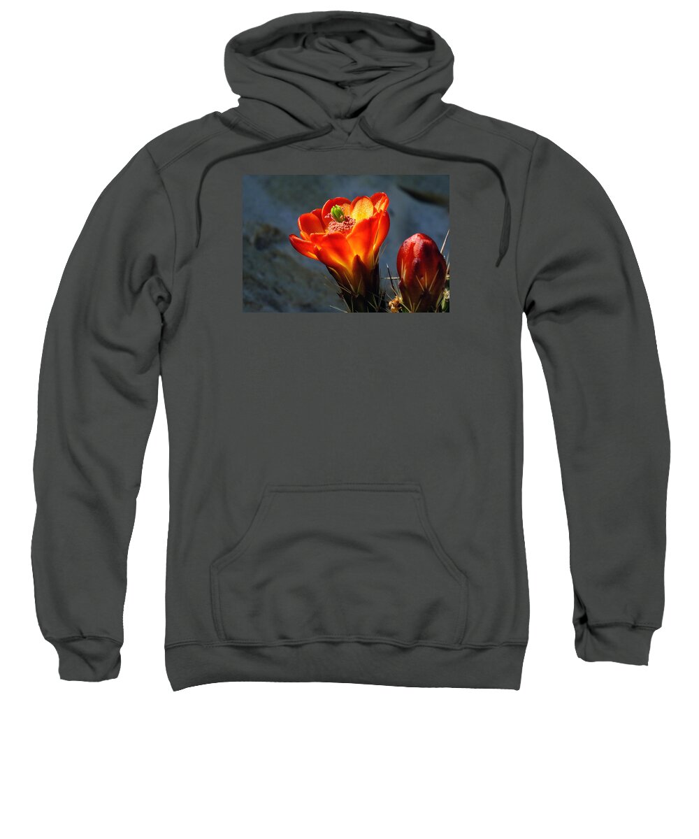 Claret Cup Sweatshirt featuring the photograph Evening Glow by Bill Morgenstern