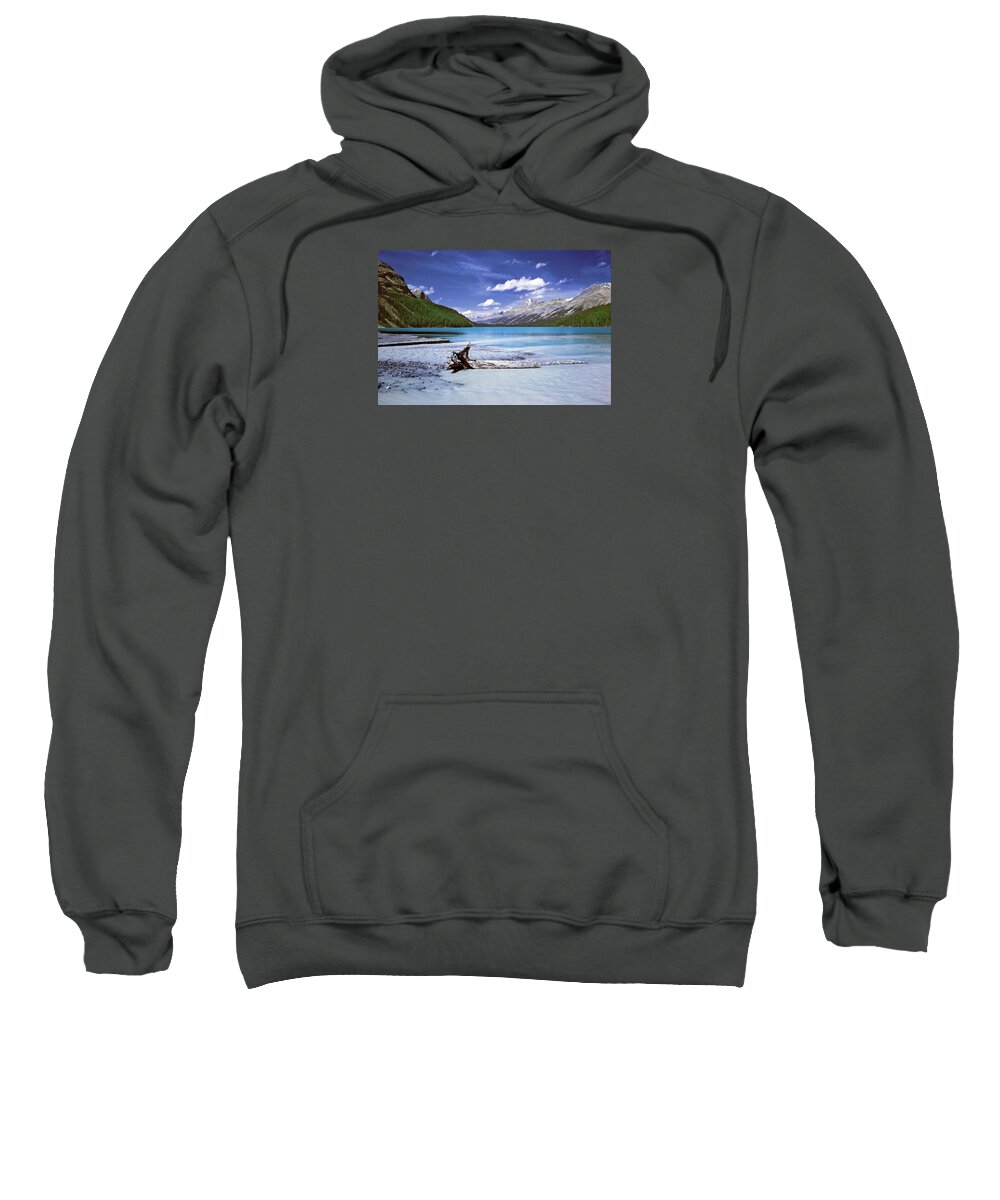 Landscapes Sweatshirt featuring the photograph Exterior Decorations by The Walkers