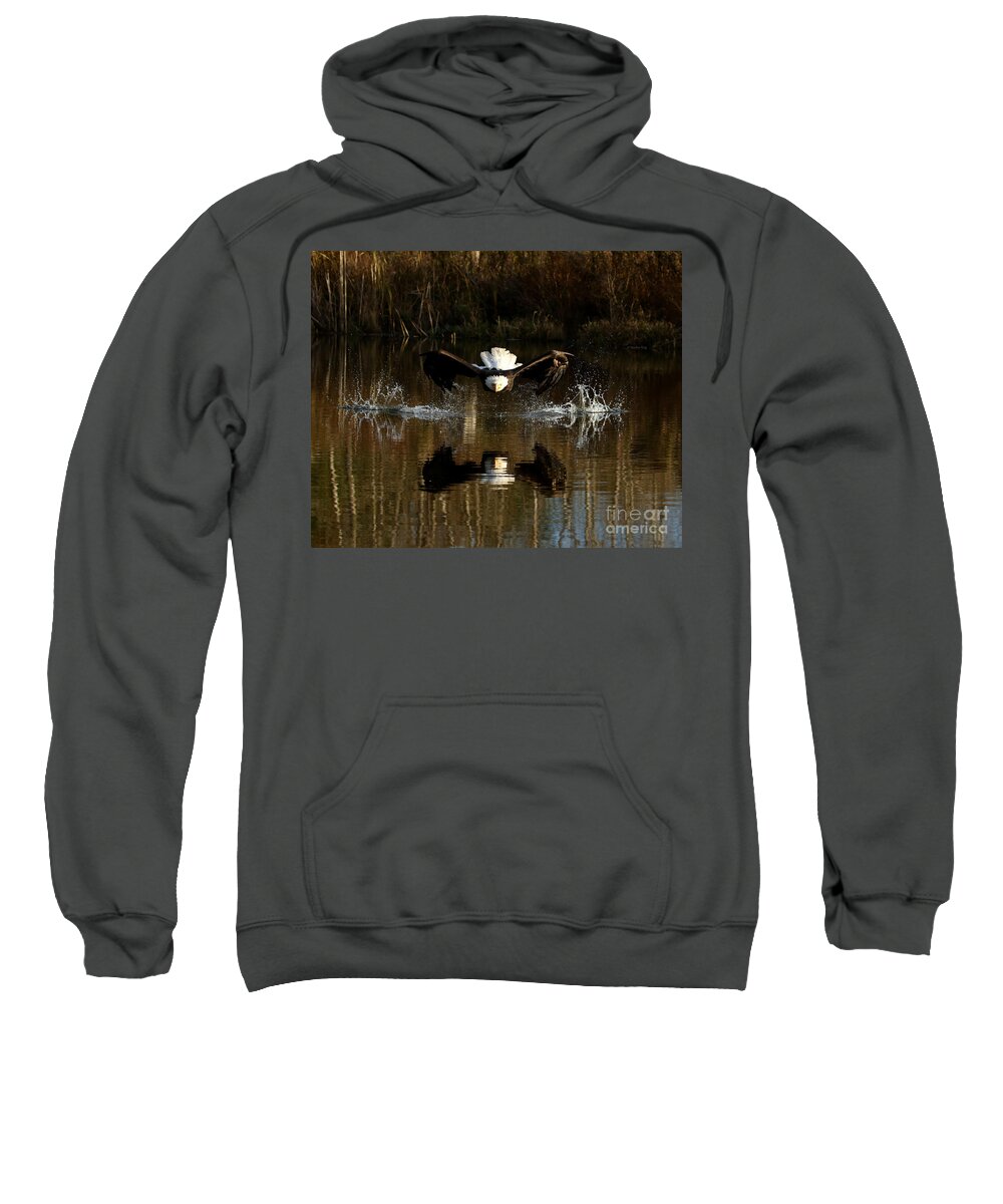 Eagle Sweatshirt featuring the photograph Eyes on the prize by Heather King