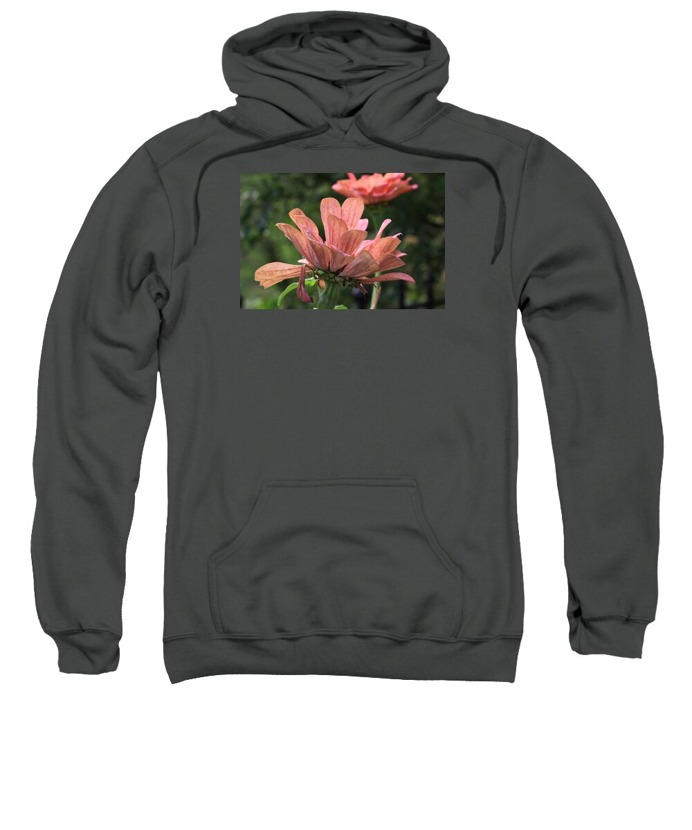 Autumn Flower Sweatshirt featuring the photograph Faded Glory by Karen Ruhl