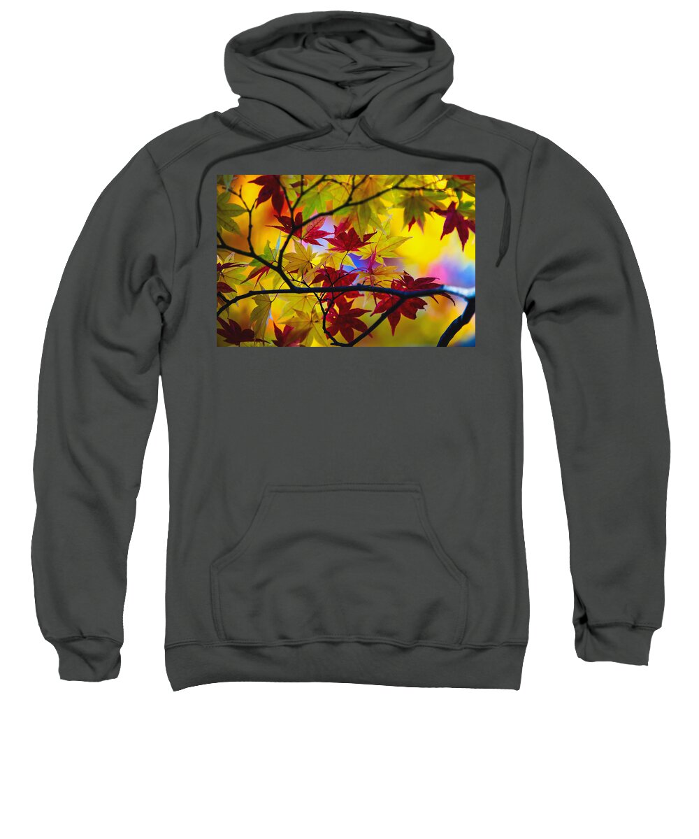 Fall Color Sweatshirt featuring the photograph Fall Color - Japanese maple by Hisao Mogi