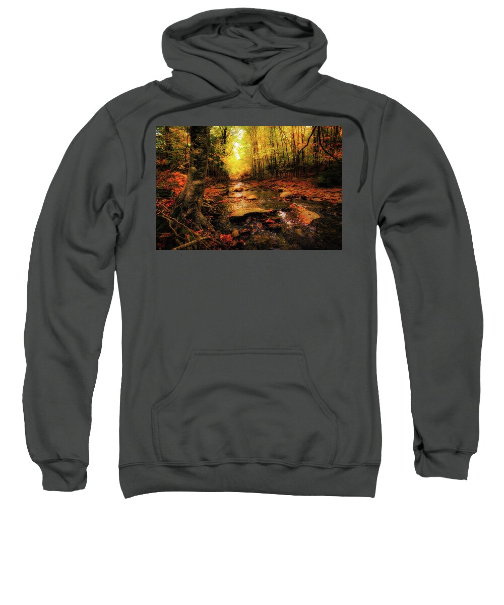 Stowe Sweatshirt featuring the photograph Fall Dreams by Robert Clifford