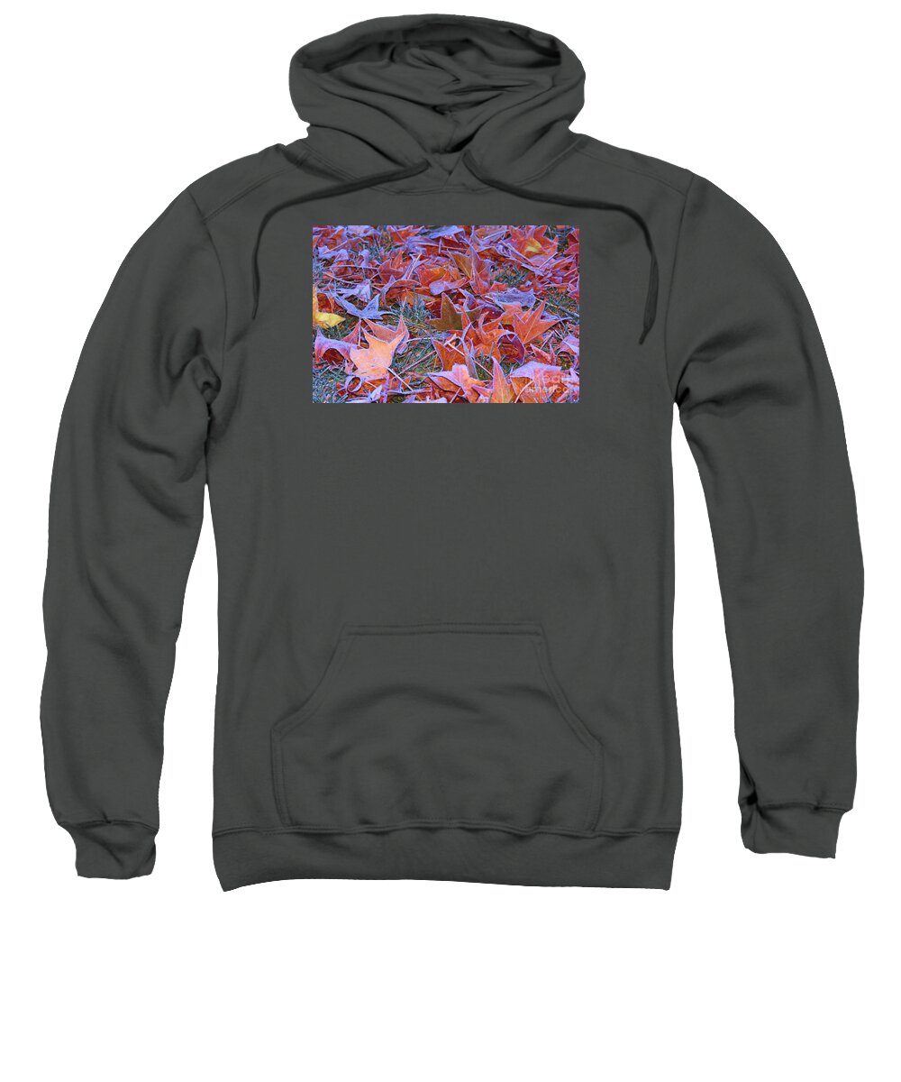Fall Into Winter Sweatshirt featuring the photograph Fall Into Winter by Patrick Witz