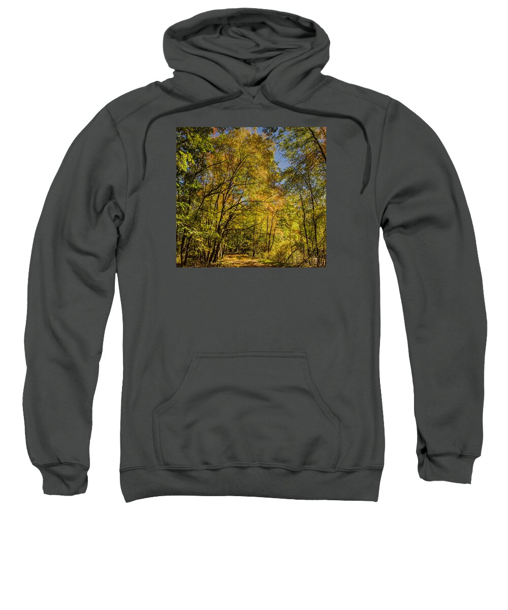 New Jersey Sweatshirt featuring the photograph Fall's approach by SAURAVphoto Online Store