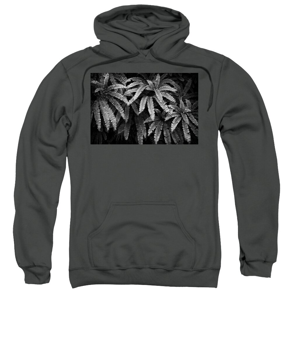 Black And White Sweatshirt featuring the photograph Fern and Shadow by Steven Clark