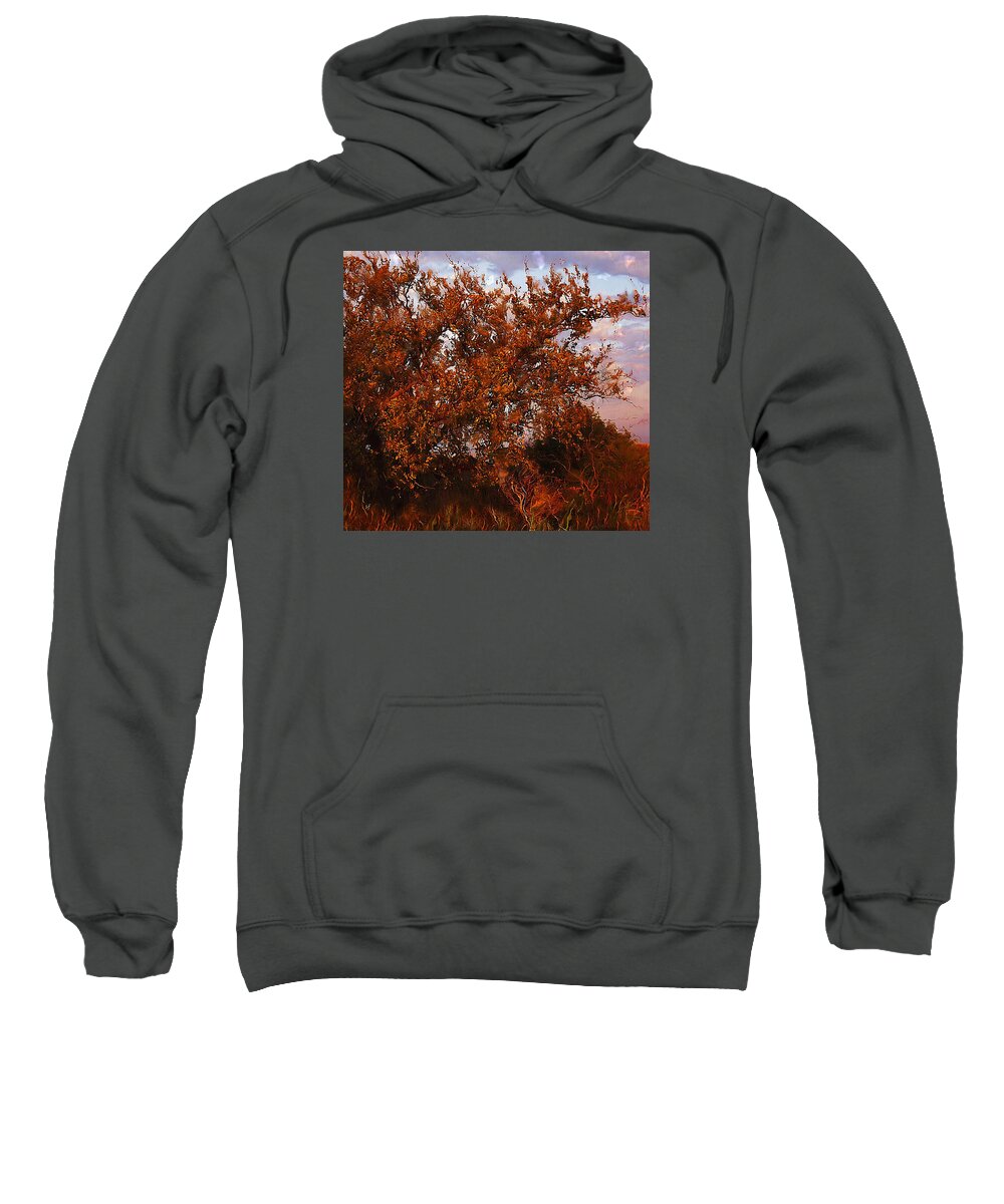 Landscape Sweatshirt featuring the mixed media Fiery Elm Tree by Shelli Fitzpatrick