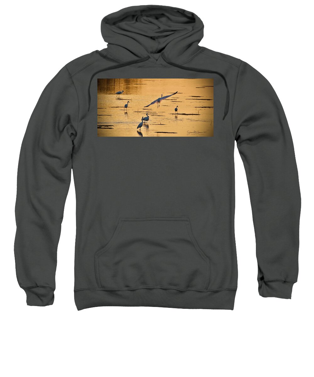 Bird Sweatshirt featuring the photograph Final Glide Path to Dinner by Shawn M Greener