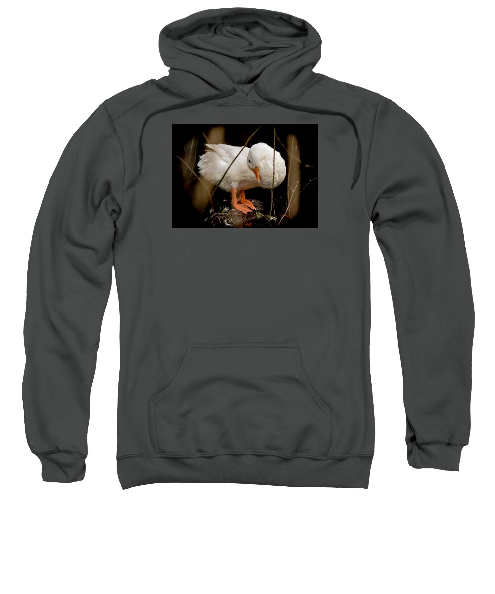 Domestic Duck Sweatshirt featuring the photograph Final Touches by E Faithe Lester