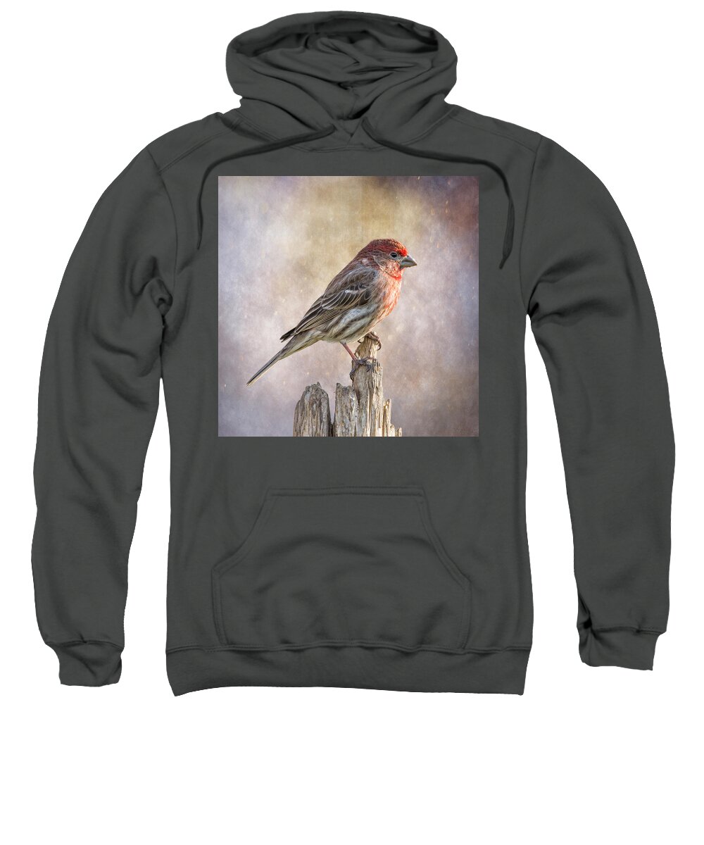 Chordata Sweatshirt featuring the photograph Finch Posted On Top by Bill and Linda Tiepelman