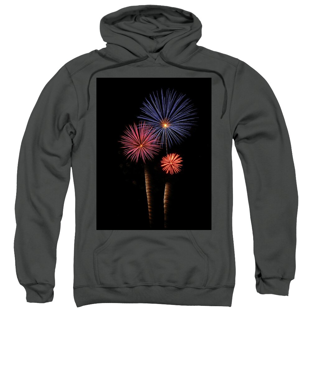 Fireworks Sweatshirt featuring the photograph Firework Trees by Elaine Malott