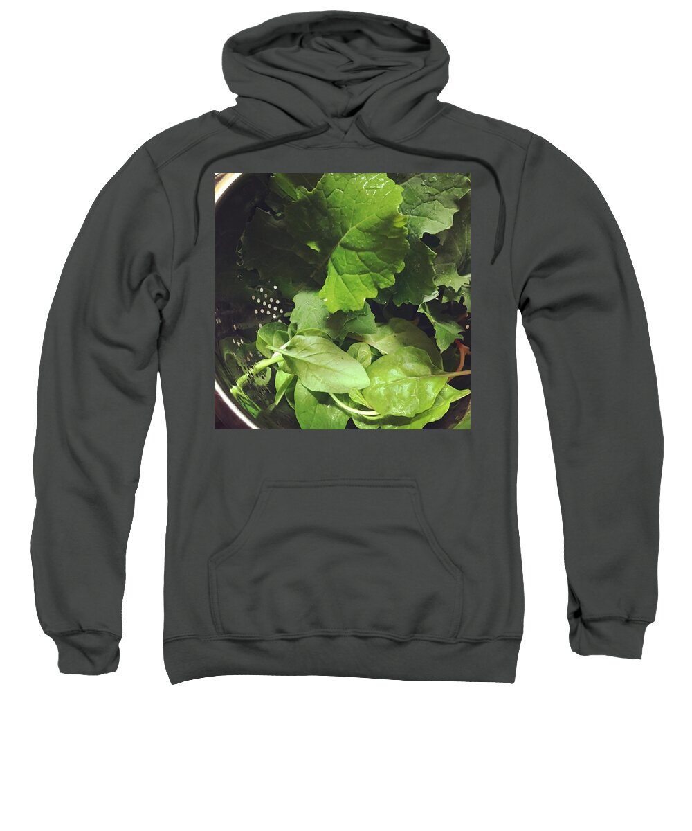 Kale Sweatshirt featuring the photograph Greens by Salamander Woods Studio-Homestead