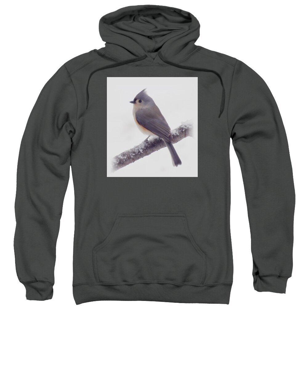 Bird Sweatshirt featuring the photograph First Snow - Tufted Titmouse Bird by MTBobbins Photography