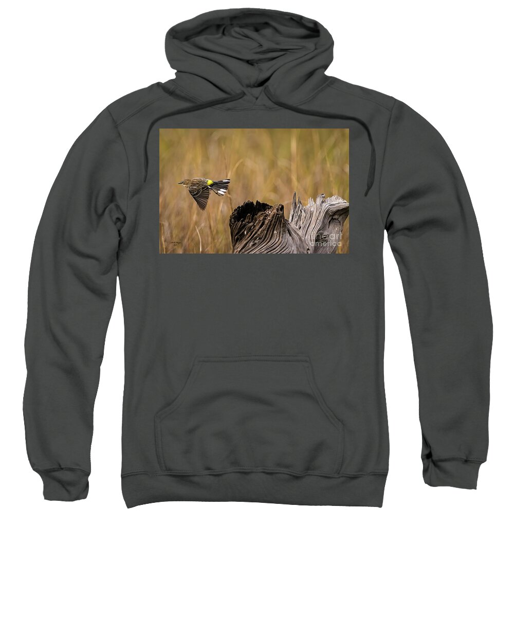 Warbler Sweatshirt featuring the photograph Flight Of The Driftwood Butterbutt by DB Hayes