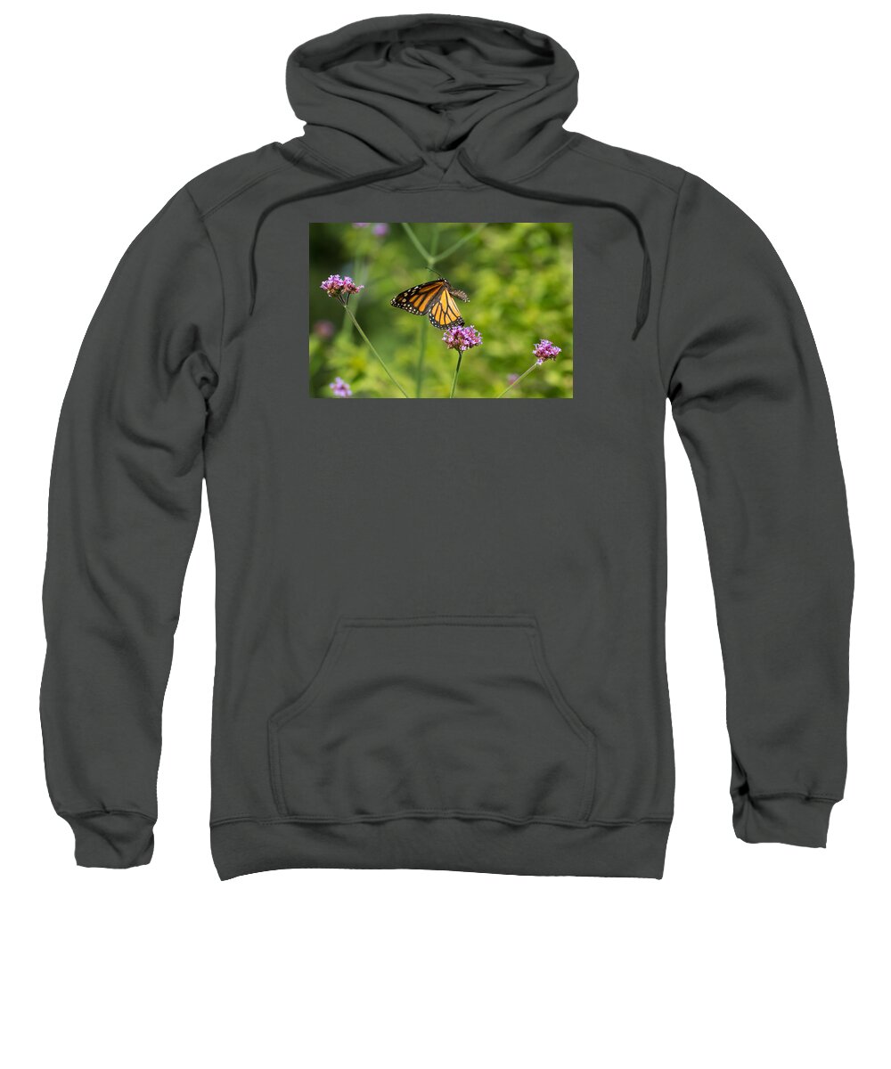 Monarch Sweatshirt featuring the photograph Flight of the Monarch 1 by Brian Hale