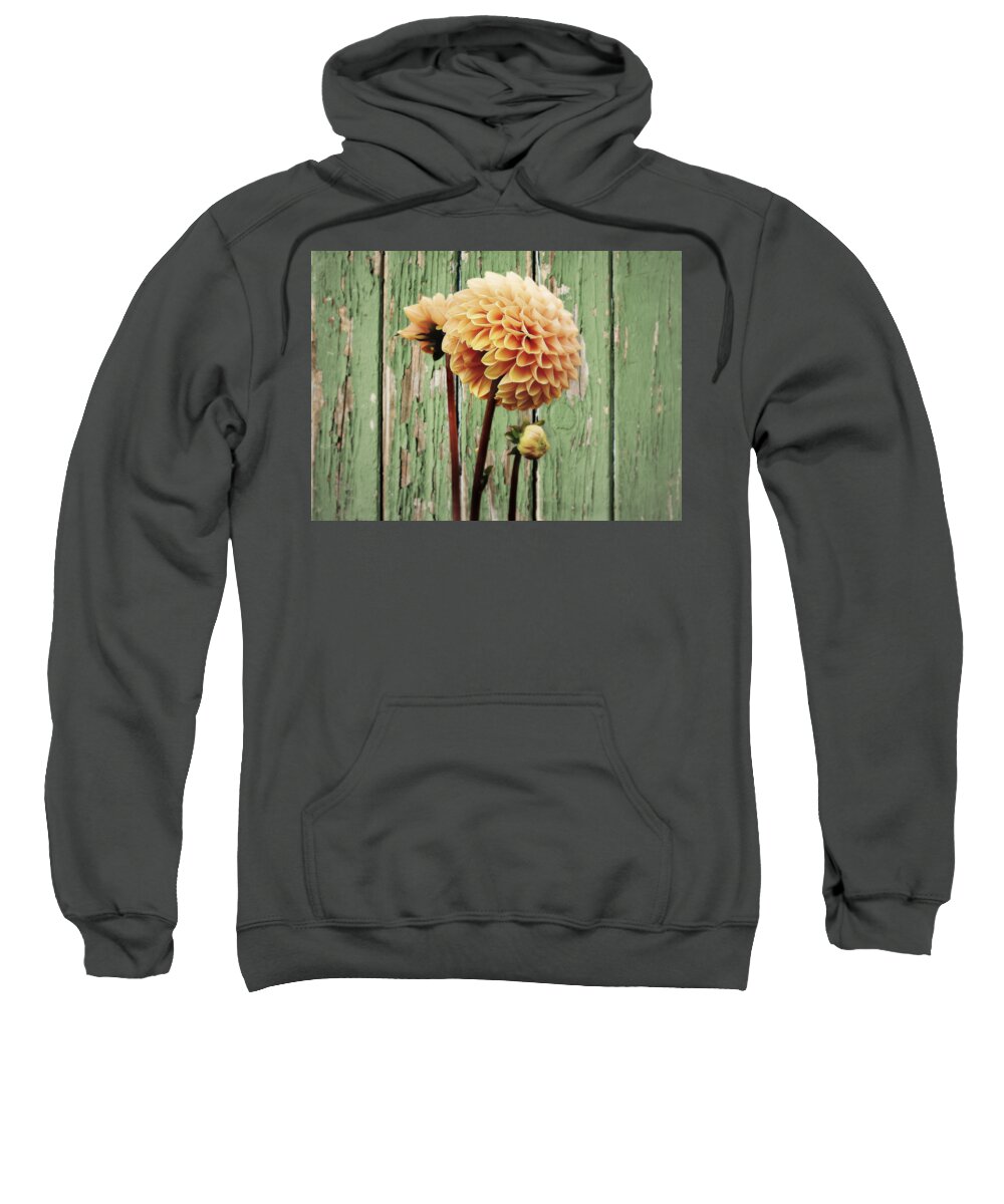 Flower Sweatshirt featuring the photograph Floral Delight by Ally White