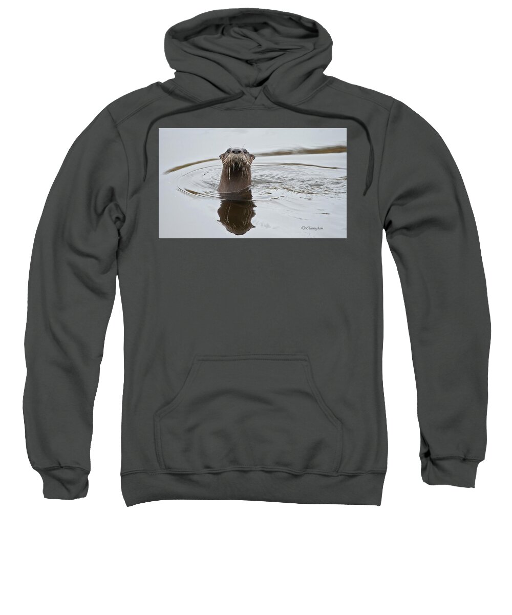 Otter Sweatshirt featuring the photograph Florida Otter by Dorothy Cunningham