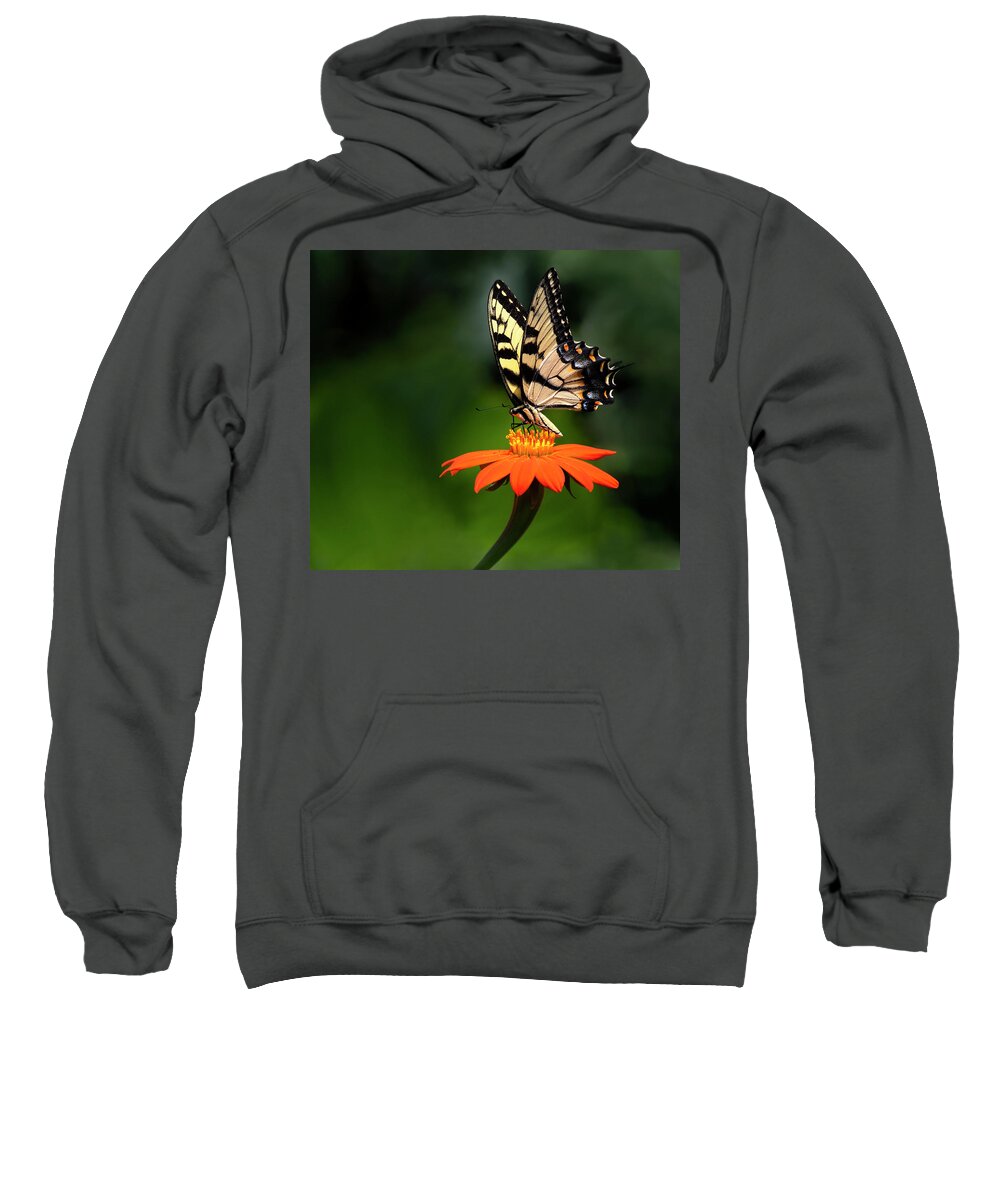Butterfly Sweatshirt featuring the photograph Flower Dance by Art Cole