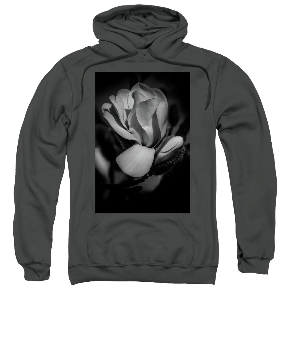 Flower Sweatshirt featuring the photograph Flower Noir by Allin Sorenson