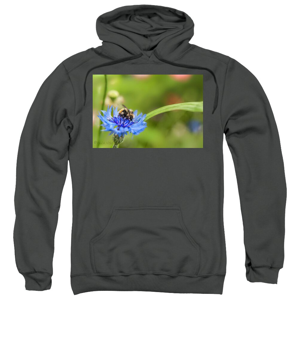  Sweatshirt featuring the photograph Flower Spoon Bee Full..... by Paul Vitko