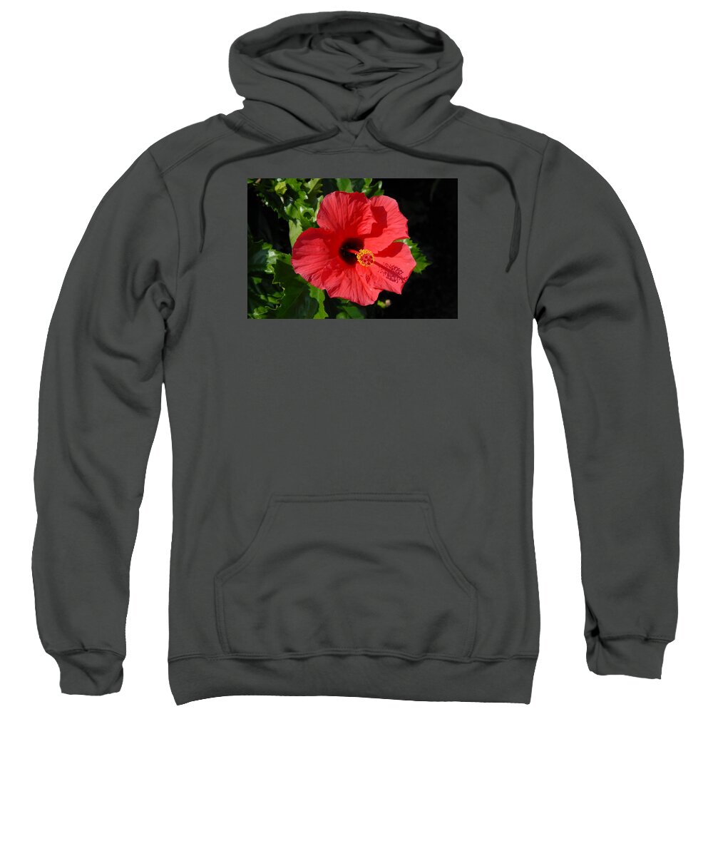 Hibiscus Flower Sweatshirt featuring the photograph Flowers 726 by Joyce StJames