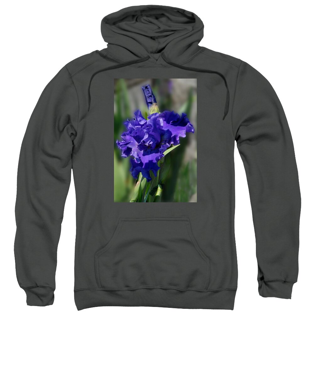 Iris Iris Sweatshirt featuring the photograph Flowers 734 by Joyce StJames