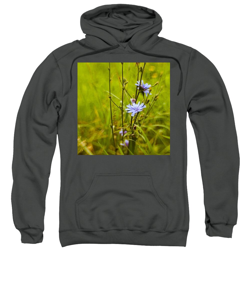 Composerpro Sweatshirt featuring the photograph #flowers #lensbaby #composerpro by Mandy Tabatt