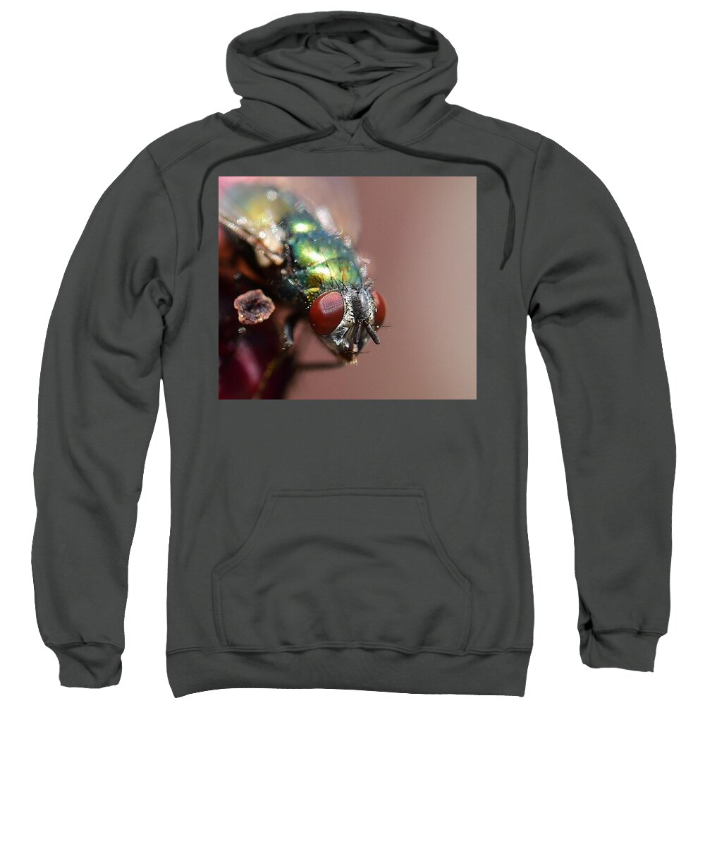 Linda Brody Sweatshirt featuring the photograph Fly Eyes by Linda Brody