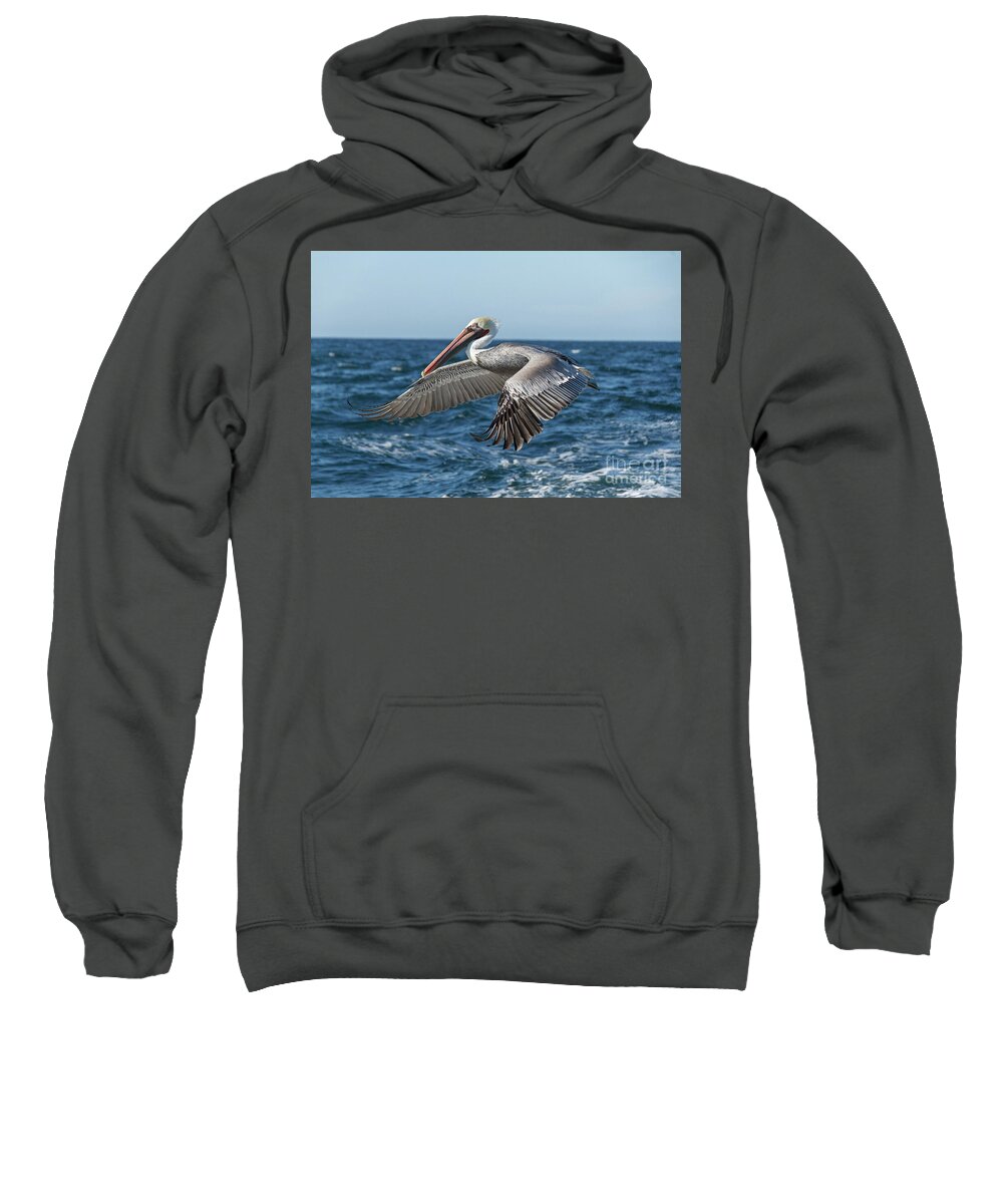Pelican Sweatshirt featuring the photograph Flying Brown Pelican by Robert Bales