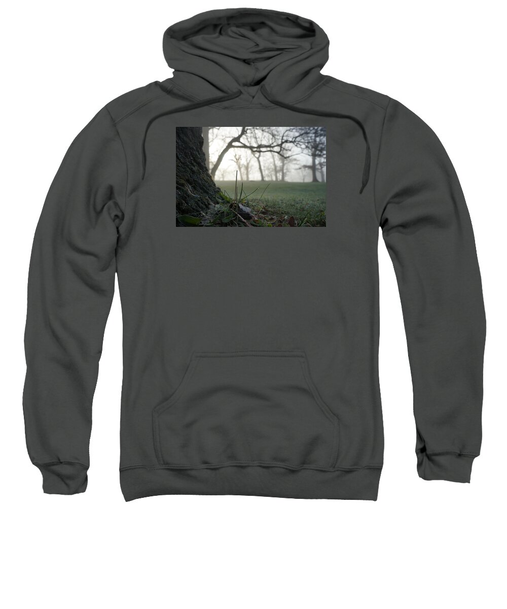 Tree Sweatshirt featuring the photograph Foggy Dew by Brooke Bowdren