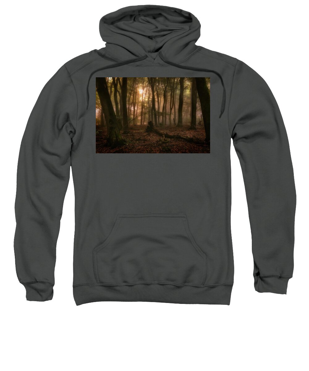 Autumn Sweatshirt featuring the photograph Forest of the dancing trees by Tim Abeln