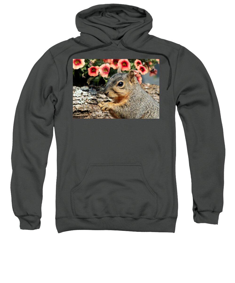 Nature Sweatshirt featuring the photograph Fox Squirrel Portrait by Sheila Brown