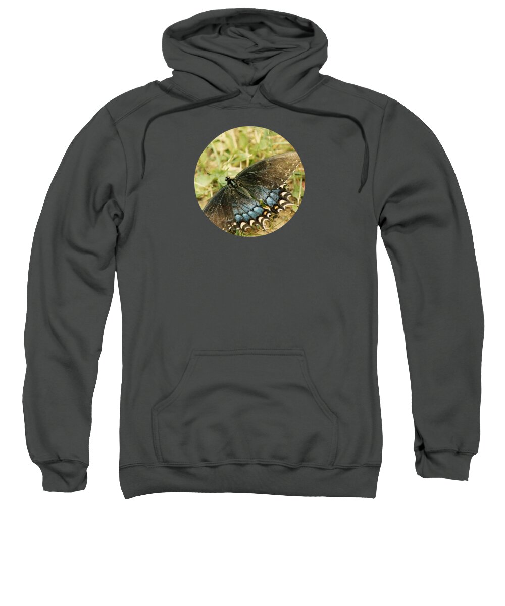 Butterfly Sweatshirt featuring the photograph Fragile Beauty by Mary Wolf