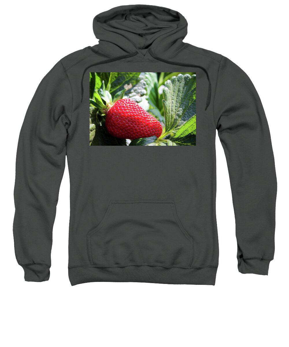 Strawberry Sweatshirt featuring the photograph Fraise by Alison Frank