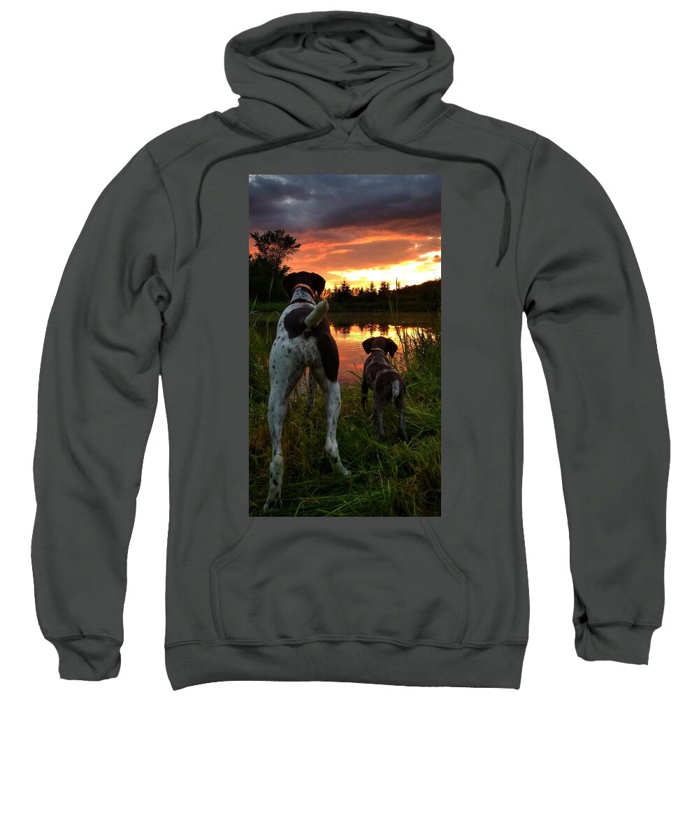 Gsp Sweatshirt featuring the photograph Frog Hunters 2 by Brook Burling