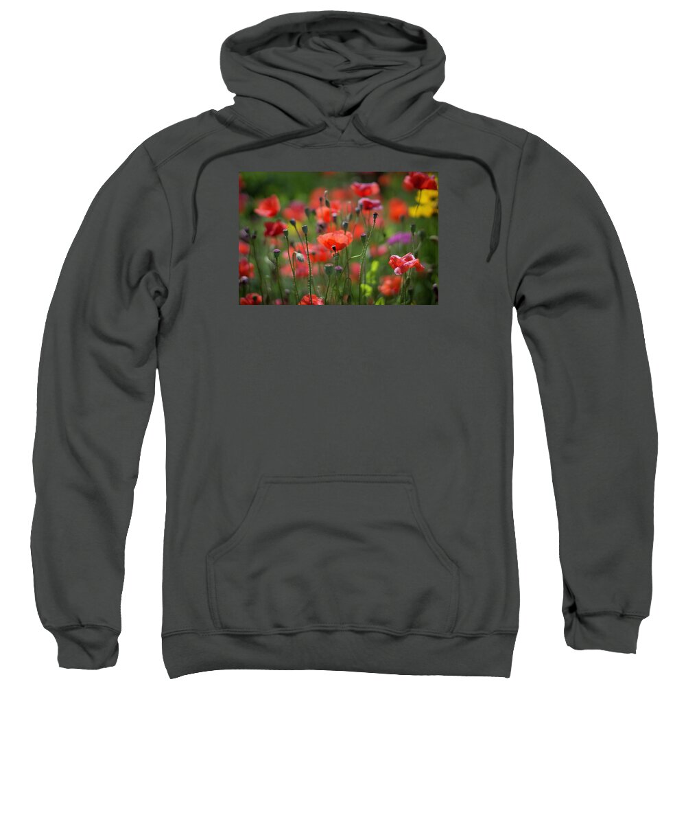  Sweatshirt featuring the photograph From Seed, To Seed by Terri Hart-Ellis