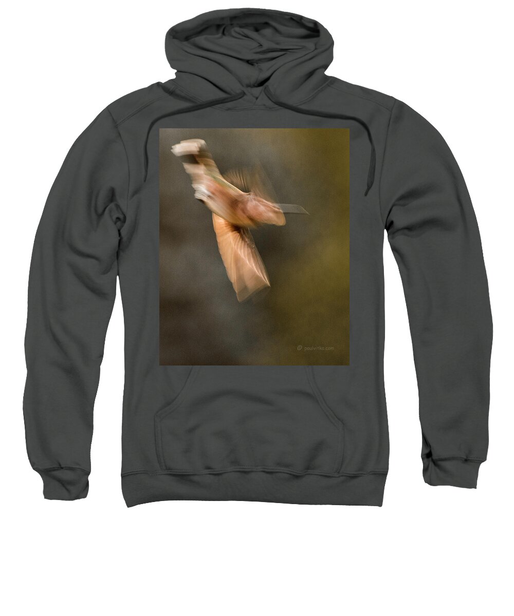  Sweatshirt featuring the photograph ...frozen Flight Hummingbird.... by Paul Vitko