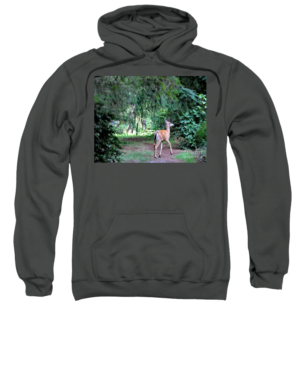 Deer Sweatshirt featuring the photograph Garden Guest by Tatyana Searcy