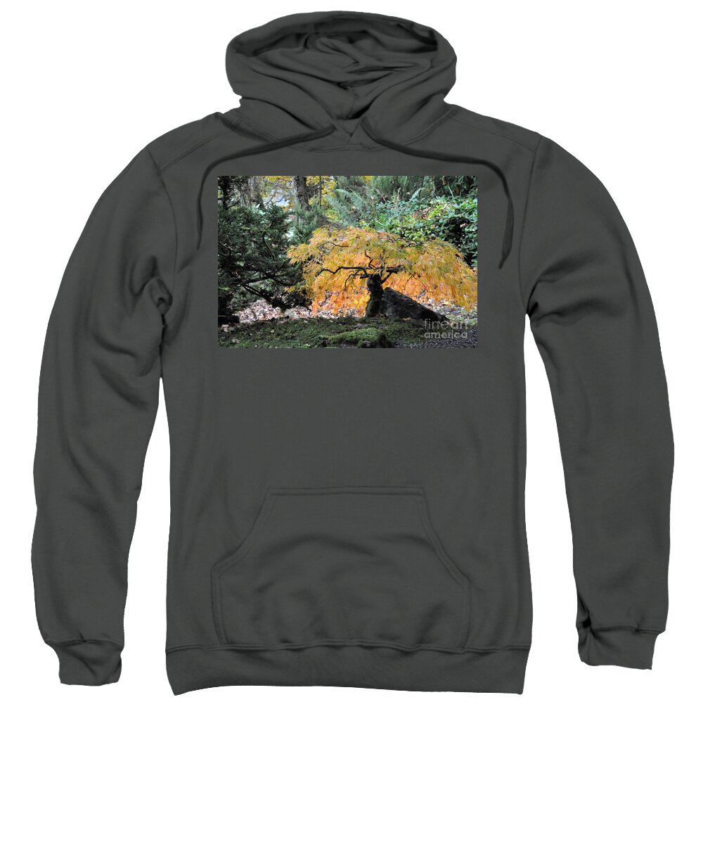 Fall Sweatshirt featuring the photograph Garden Tapestry by Tatyana Searcy