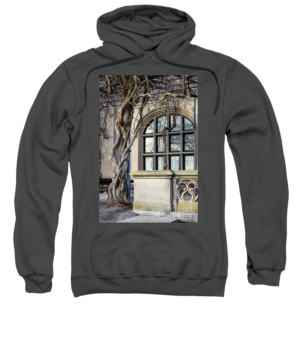 Architecture Sweatshirt featuring the photograph Garden Window And Vines by Todd Blanchard