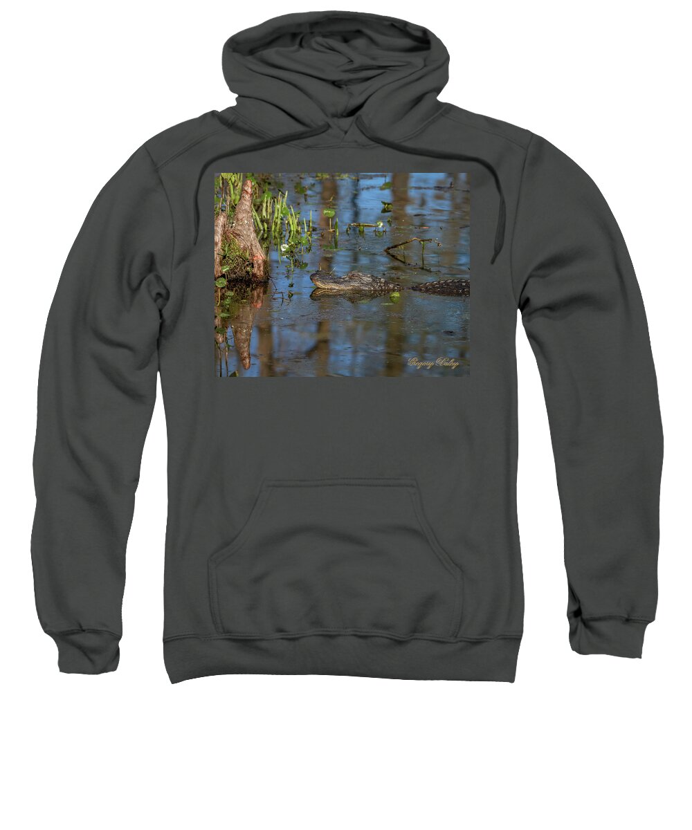 Ul Sweatshirt featuring the photograph Gator in Cypress Lake 3 by Gregory Daley MPSA
