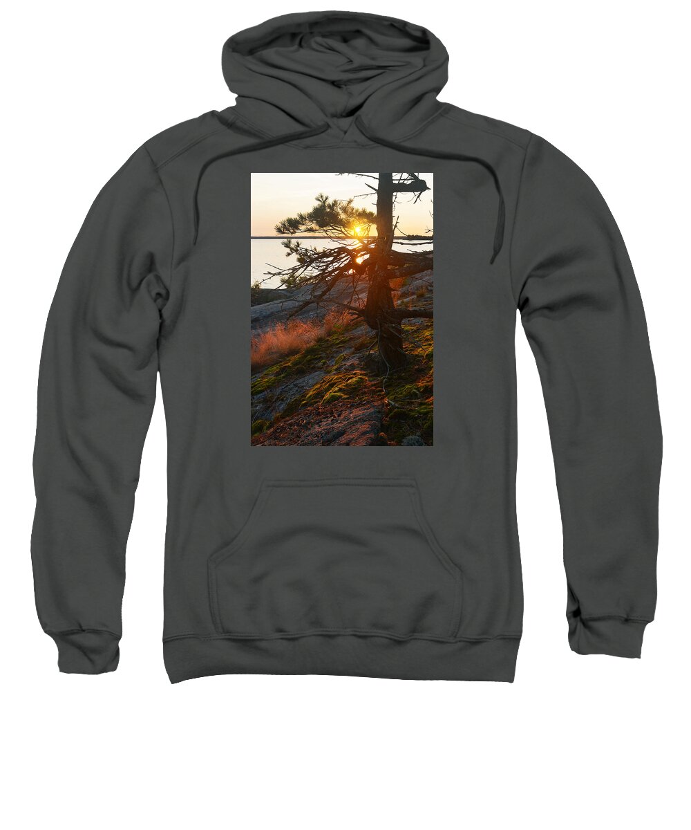 Parry Sound Sweatshirt featuring the photograph Georgian Bay Sunrise Wild grass by Steve Somerville