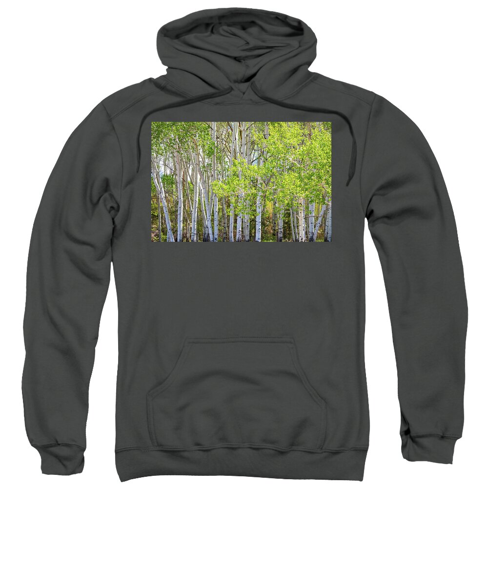 Aspen Forest Sweatshirt featuring the photograph Getting Lost In the Wilderness by James BO Insogna
