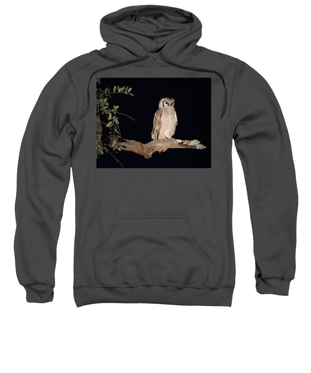 Giant Sweatshirt featuring the photograph Giant Eagle Owl by Ted Keller