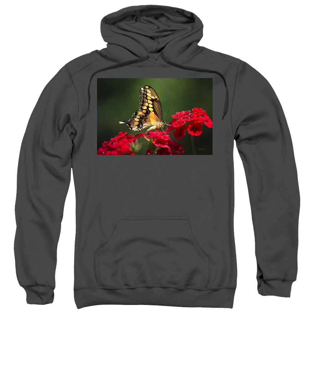 Butterfly Sweatshirt featuring the photograph Giant Swallowtail Butterfly by Christina Rollo