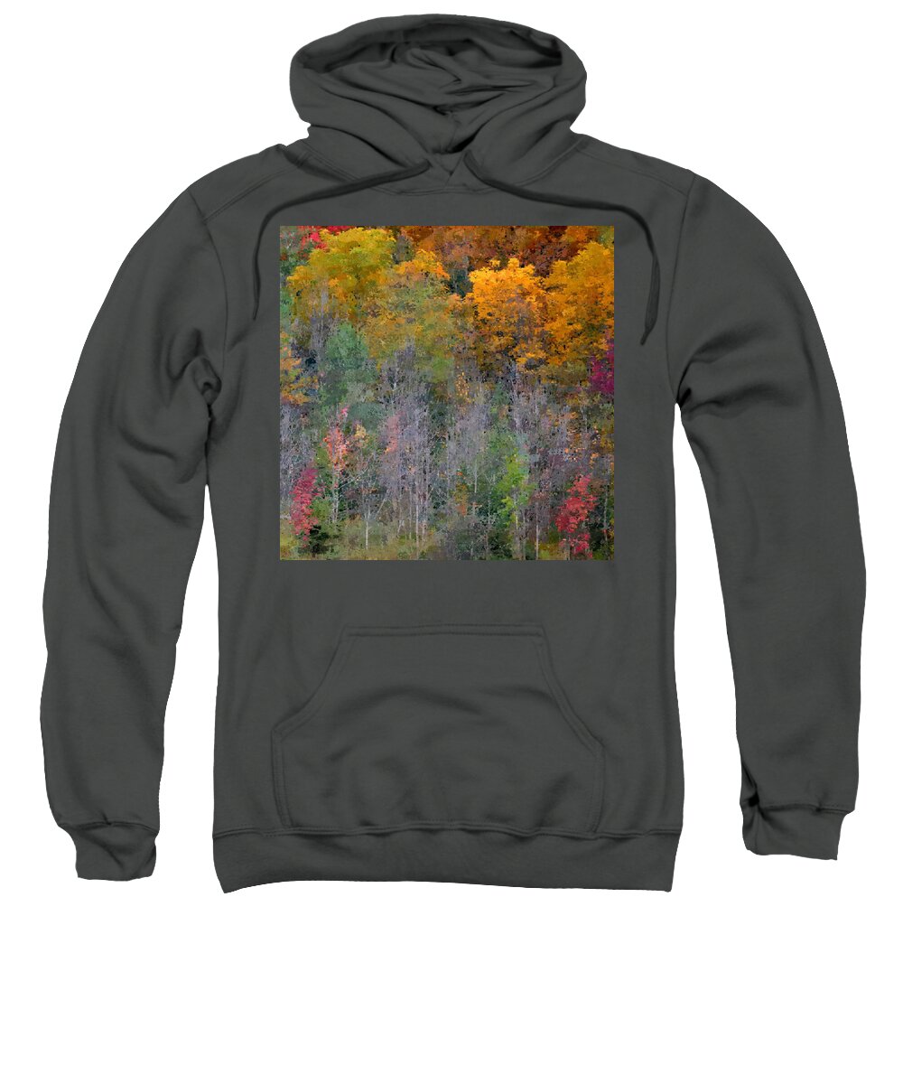 Art Sweatshirt featuring the photograph Gold Woods by Joan Han